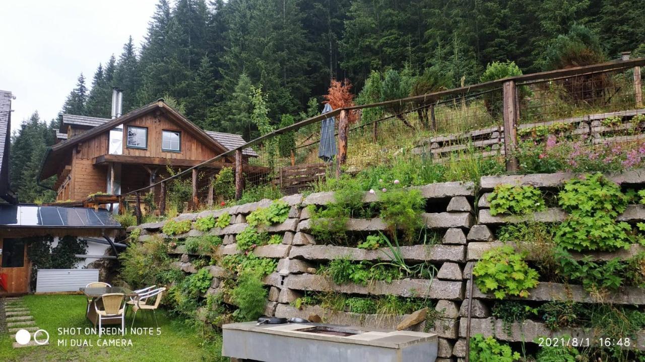 Chalet Steiermark Pusterwald Eksteriør bilde